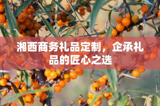 湘西商务礼品定制，企承礼品的匠心之选
